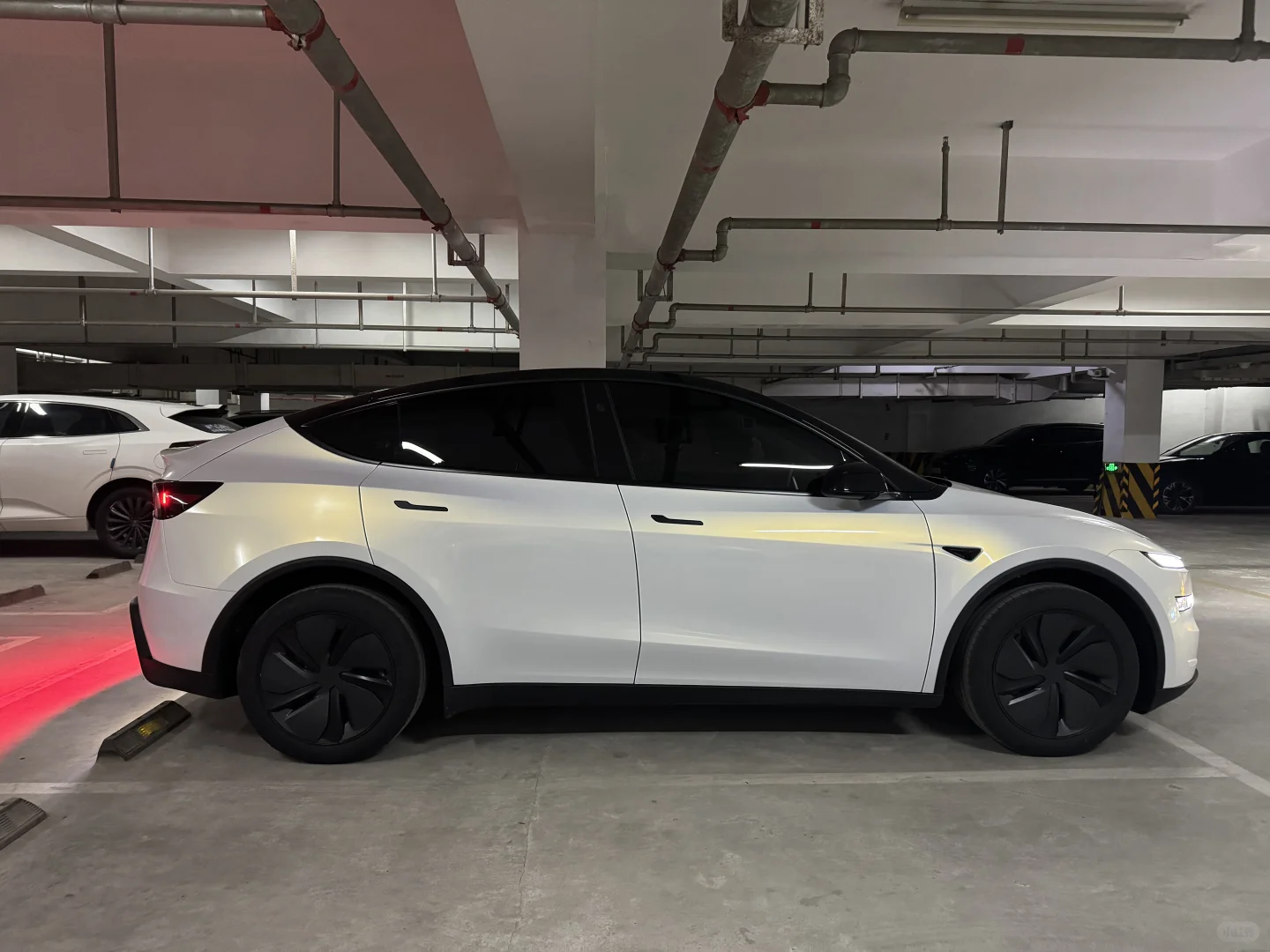 ELOV PPF-CP018 White Gold color PPF application on car - image 2