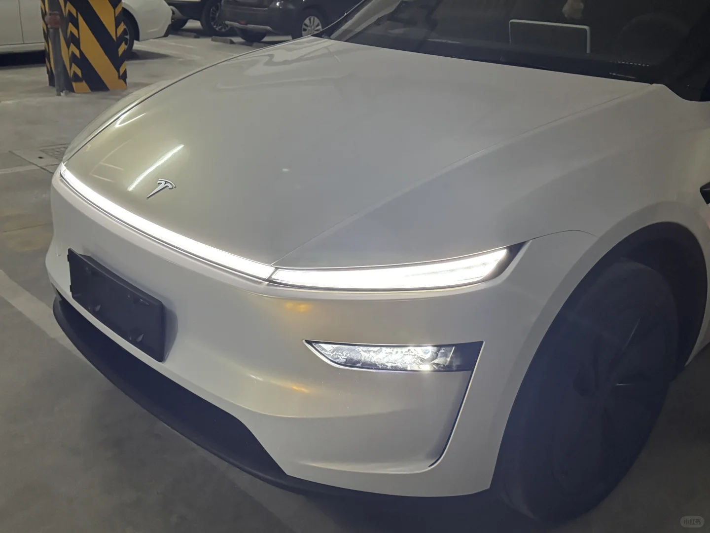 ELOV PPF-CP018 White Gold color PPF application on car - image 5