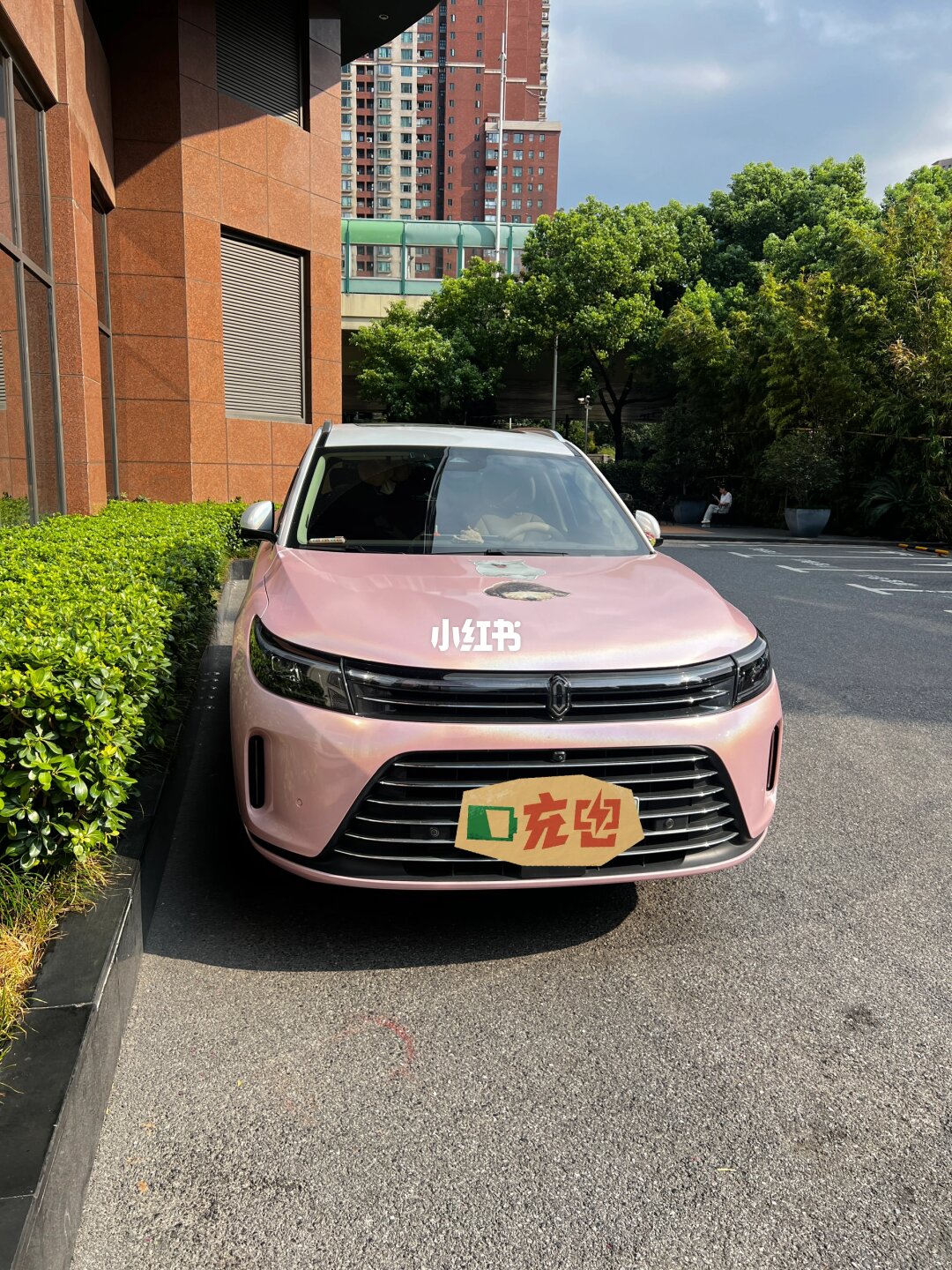 ELOV PPF-CP033 Laser Carmine Powder color PPF application on car - image 4