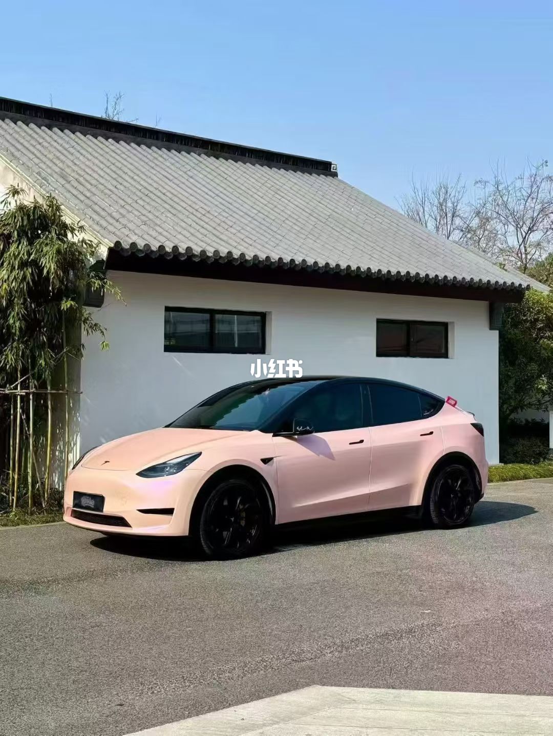 ELOV PPF-CP034 Dream Rouge Powder color PPF application on car - image 1