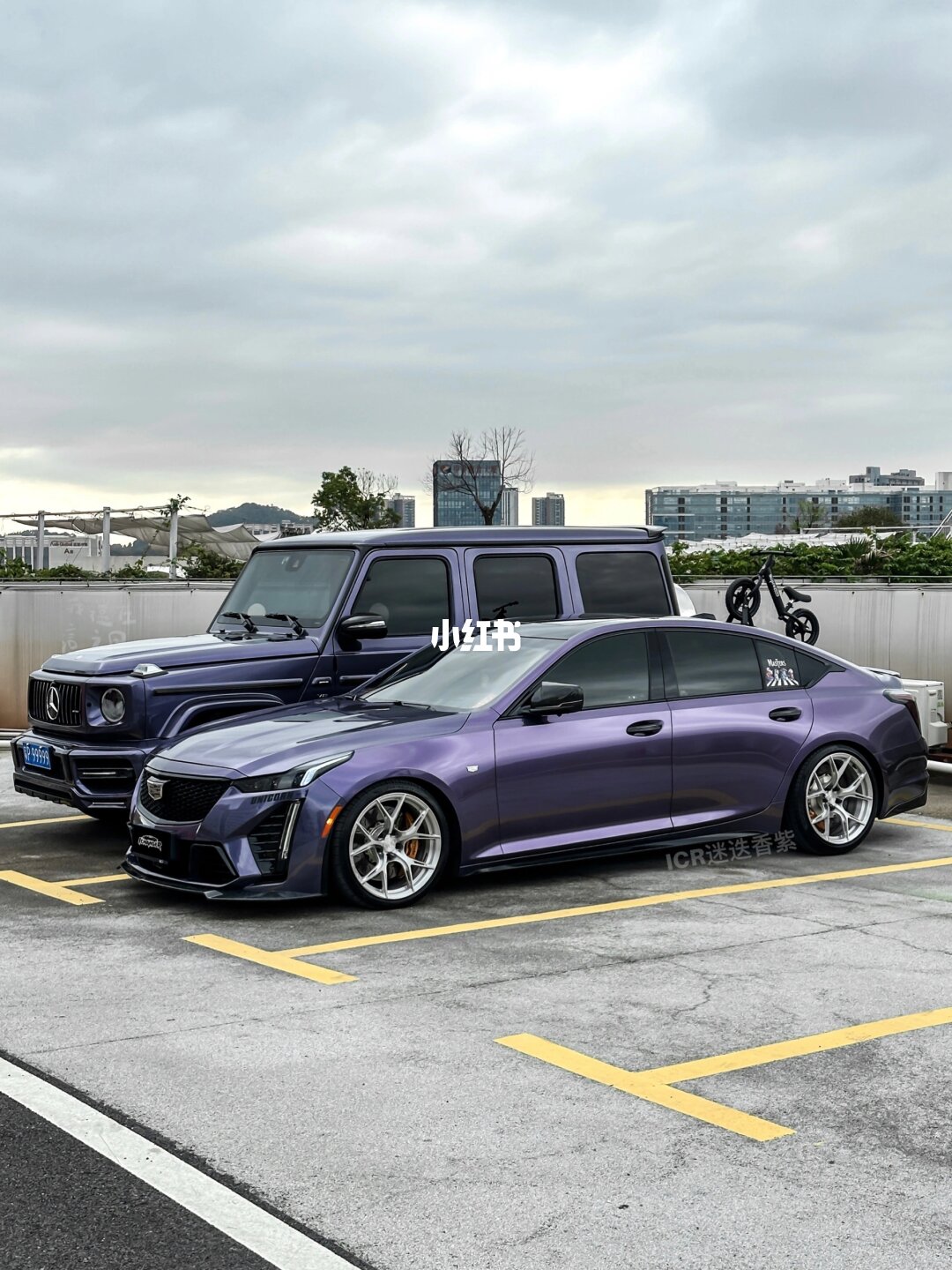 ELOV PPF-CP043 Rosemary Purple color PPF application on car - image 3