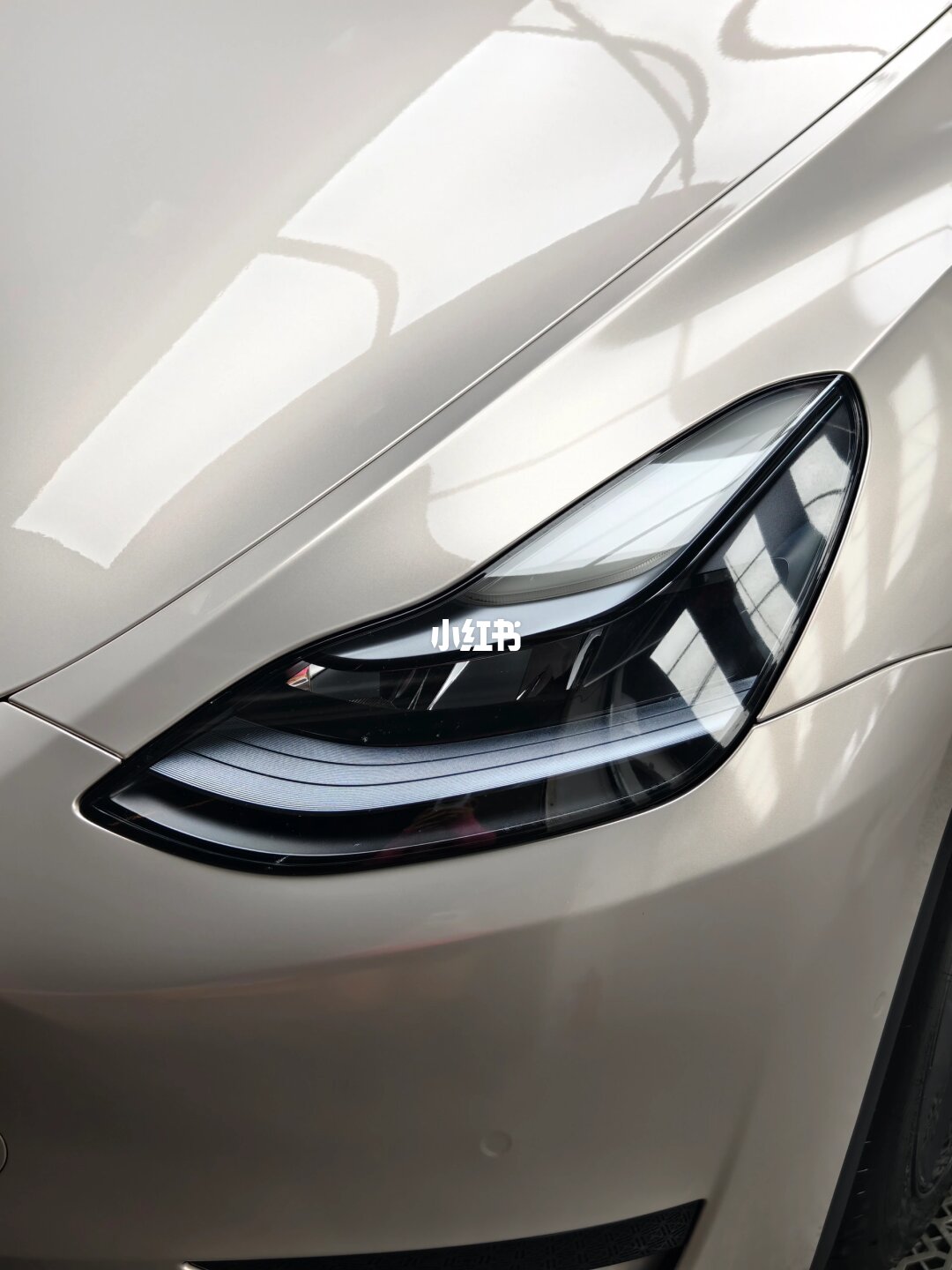 ELOV PPF-CP069 Dawn Gold color PPF application on car - image 1