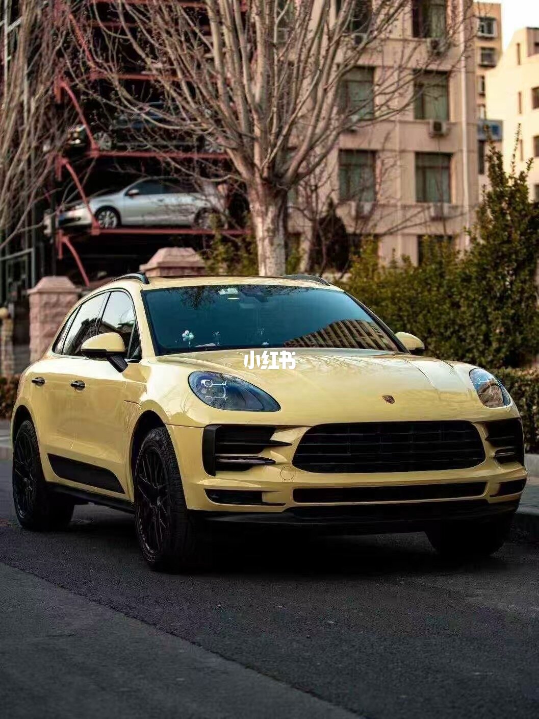 ELOV PPF-CP072 Cloudy Yellow color PPF application on car - image 1