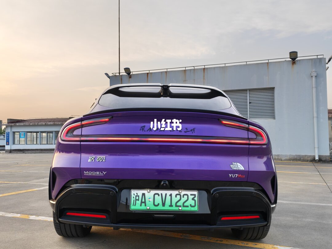 ELOV PPF-CP081 Marvelli Purple color PPF application on car - image 4