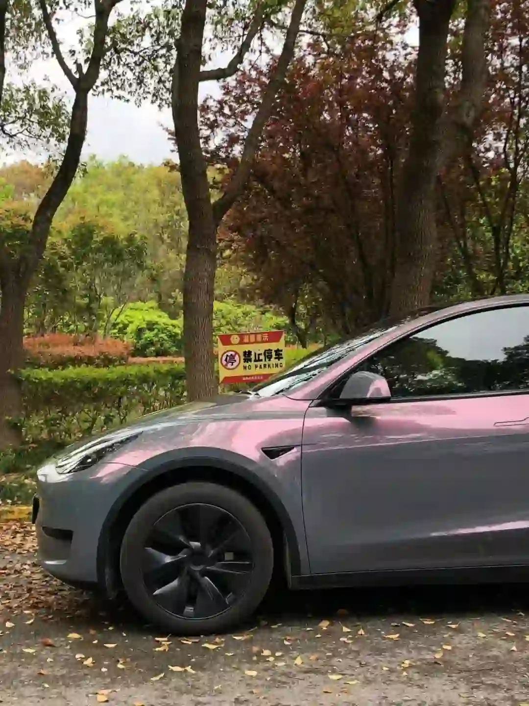 ELOV PPF-CP094 Star Sky Phantom Gray color PPF application on car - image 1