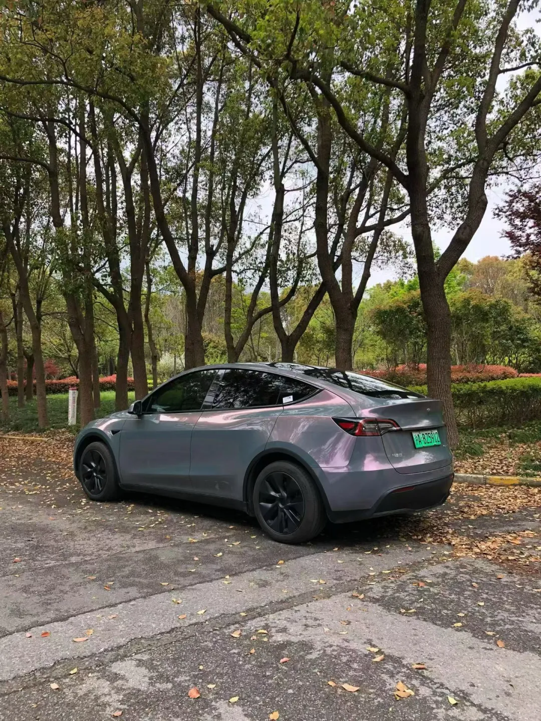 ELOV PPF-CP094 Star Sky Phantom Gray color PPF application on car - image 3
