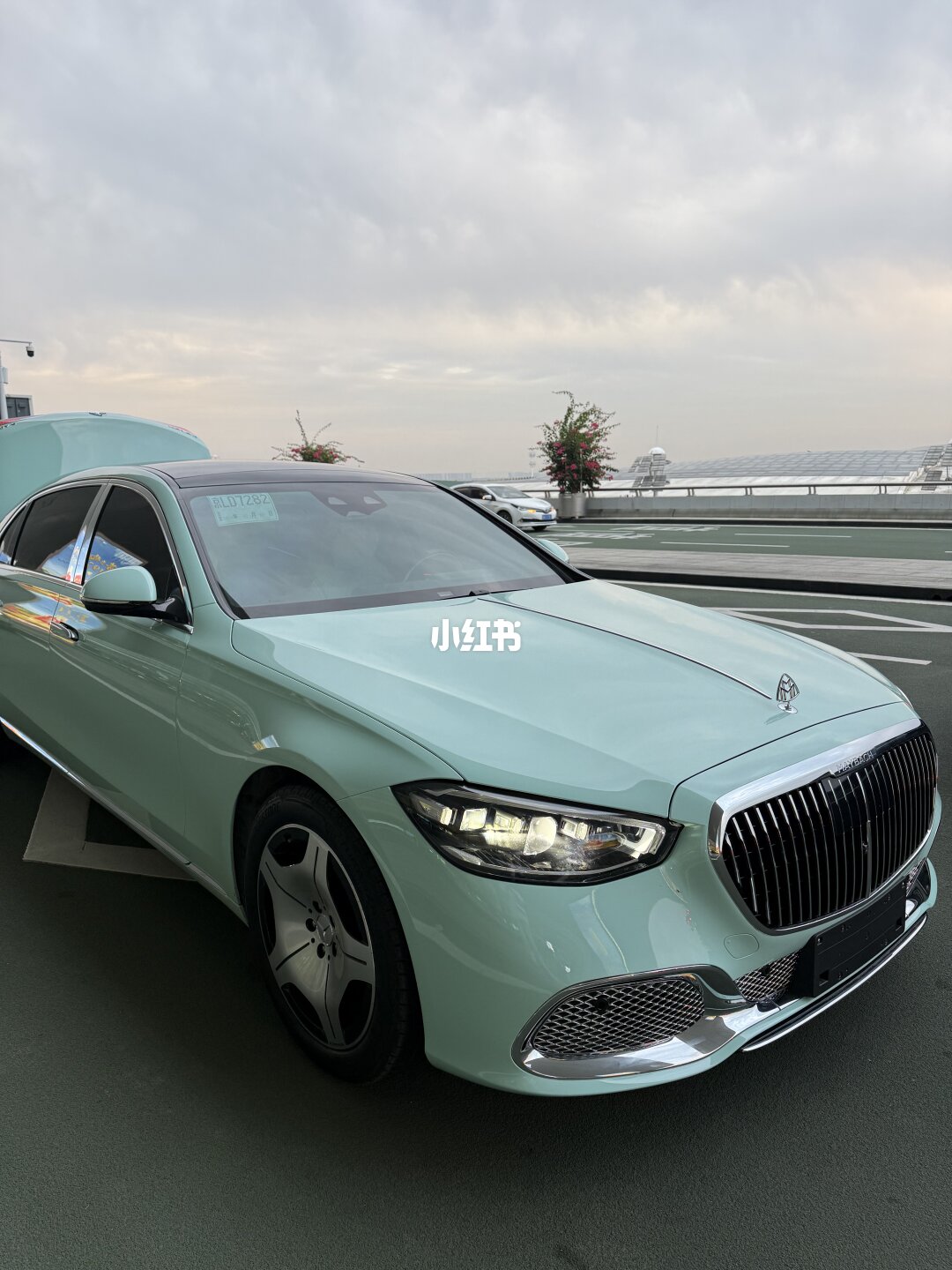 ELOV PPF-CP097 Saga Green color PPF application on car - image 1