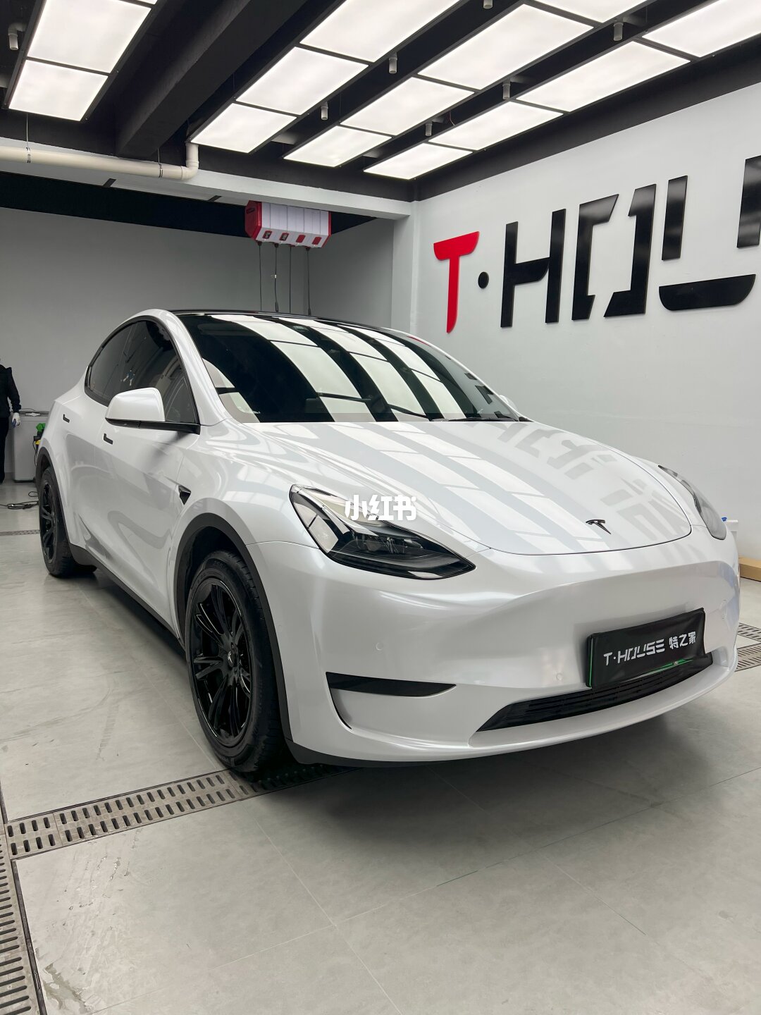 ELOV PPF-CP114 Pearl White color PPF application on car - image 1