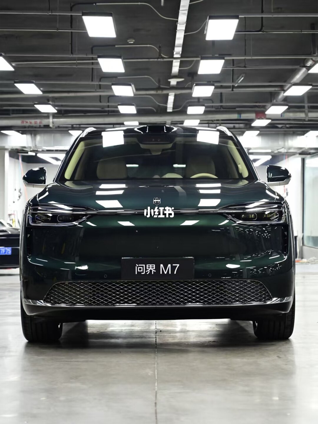 ELOV PPF-CP119 Emerald color PPF application on car - image 2
