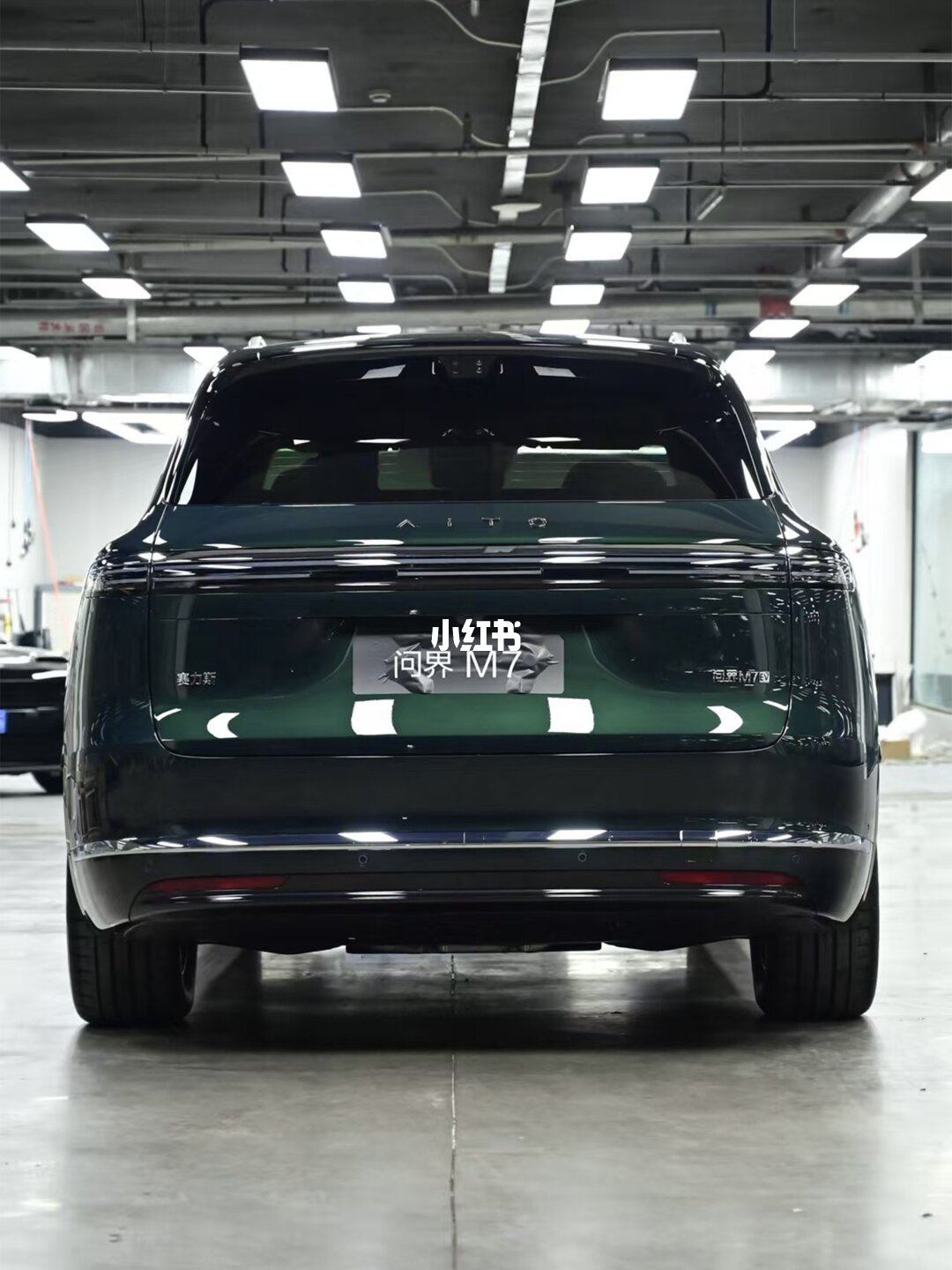 ELOV PPF-CP119 Emerald color PPF application on car - image 3