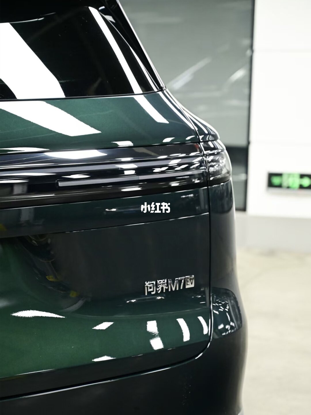 ELOV PPF-CP119 Emerald color PPF application on car - image 4