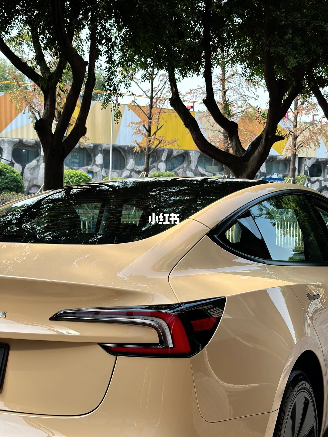 ELOV PPF-CP129 Sahara Yellow color PPF application on car - image 4