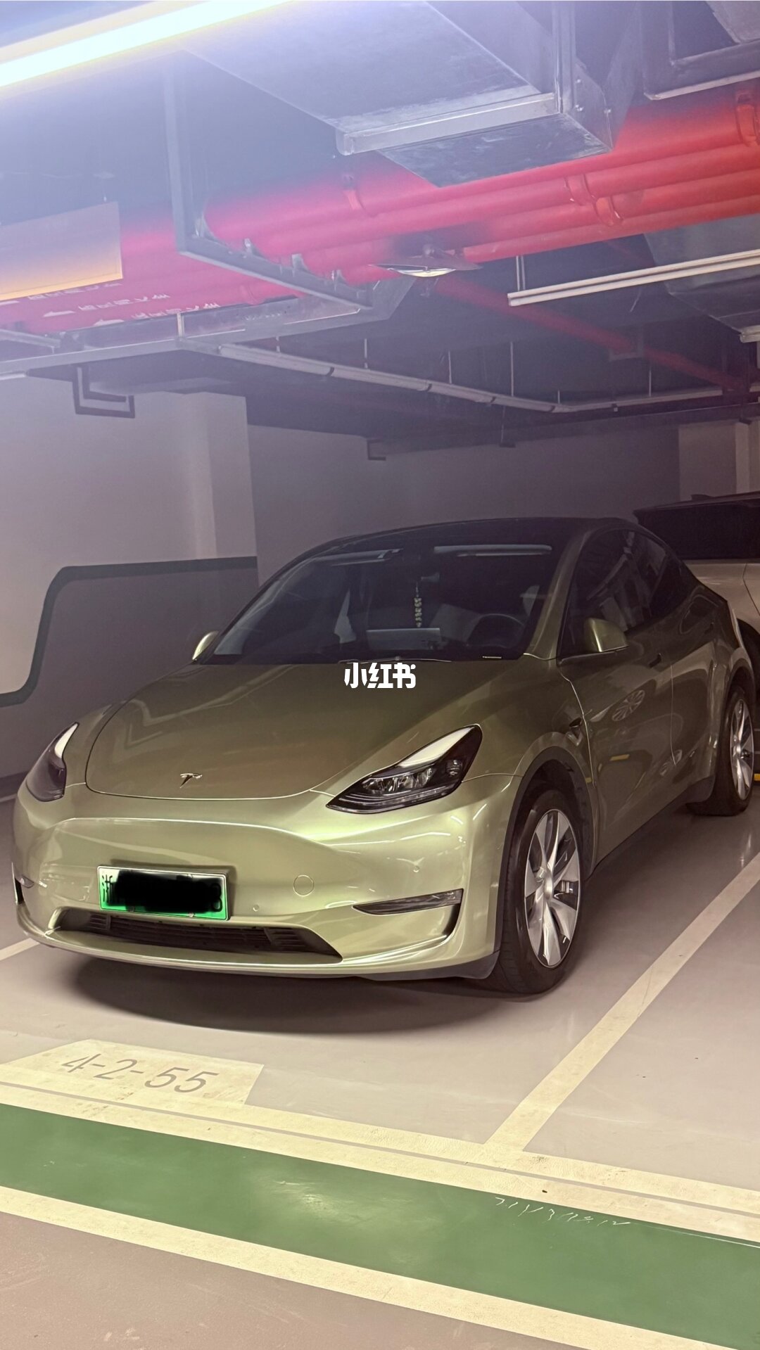 ELOV PPF-CP147 Metallic Aventurine Green color PPF application on car - image 2