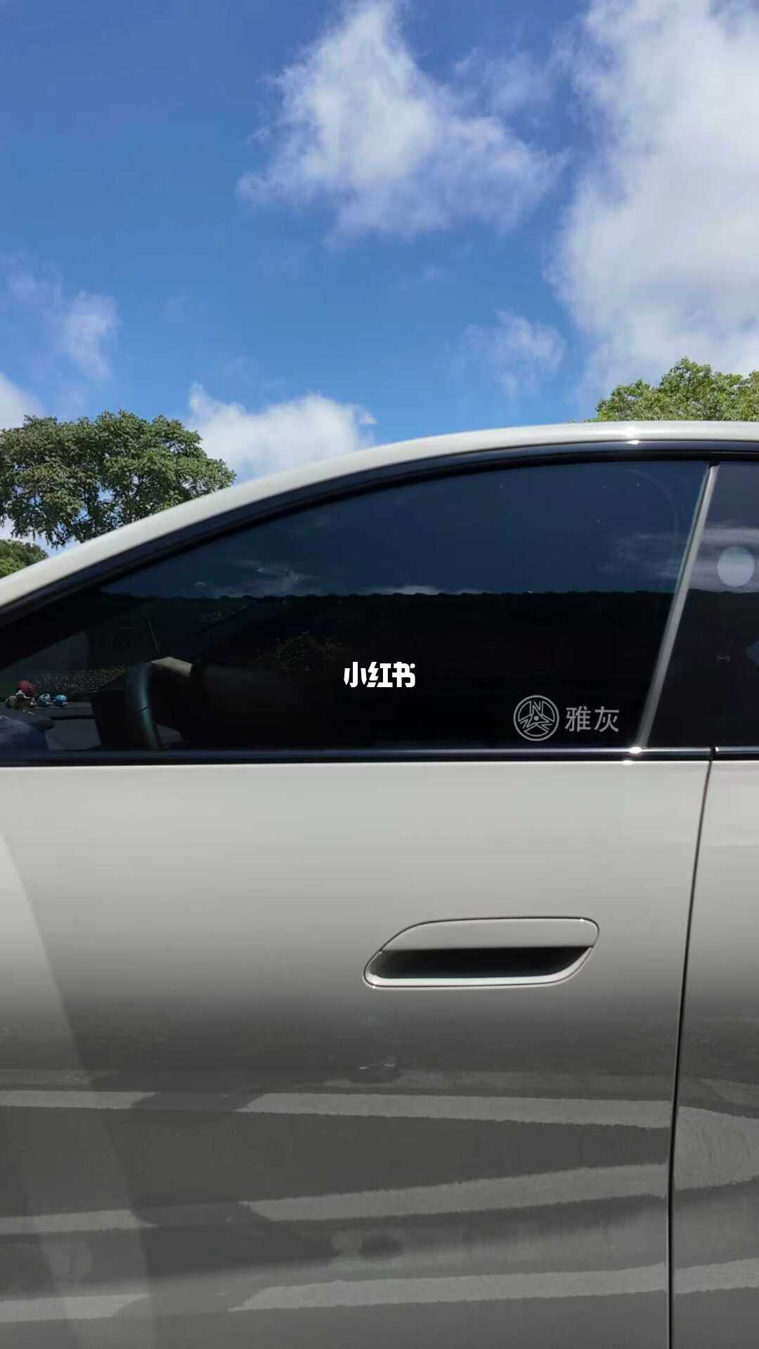 ELOV PPF-CP154 Elegant Gray color PPF application on car - image 3