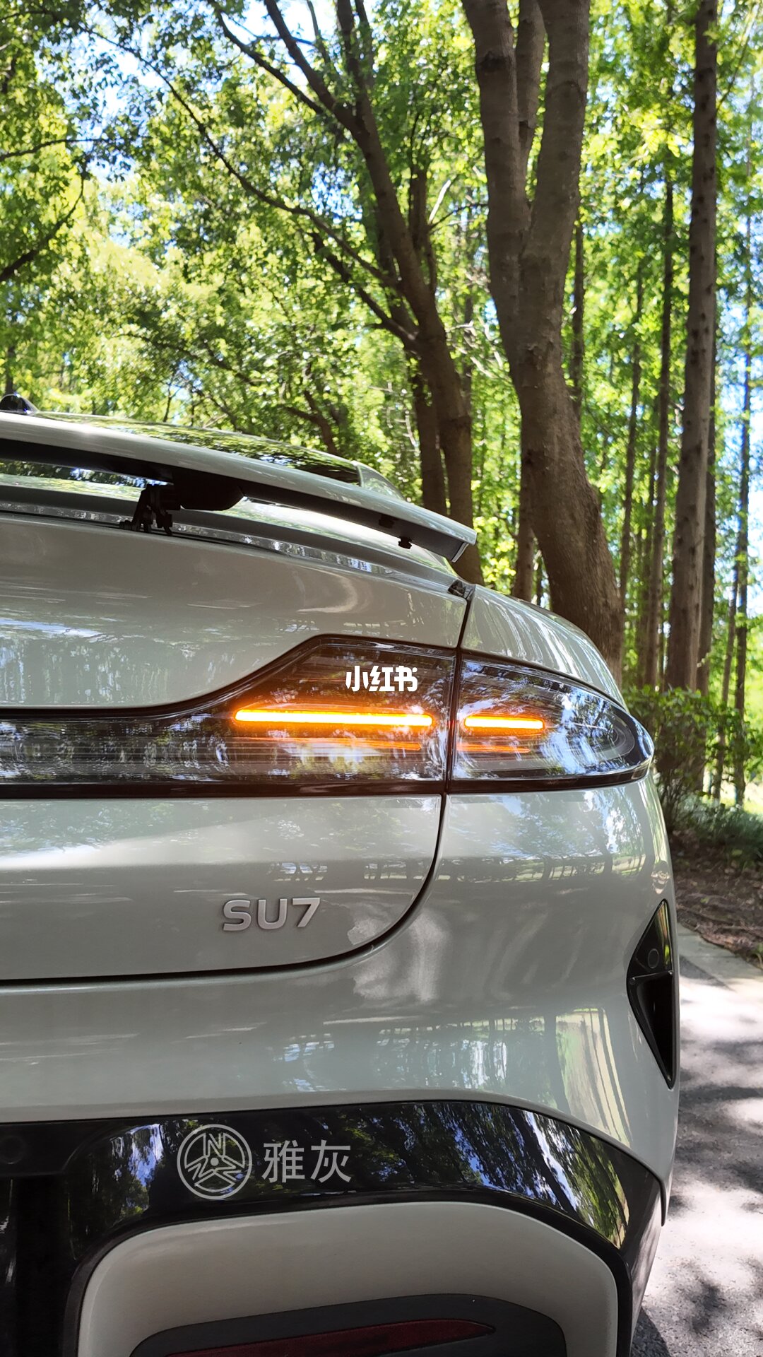 ELOV PPF-CP154 Elegant Gray color PPF application on car - image 4