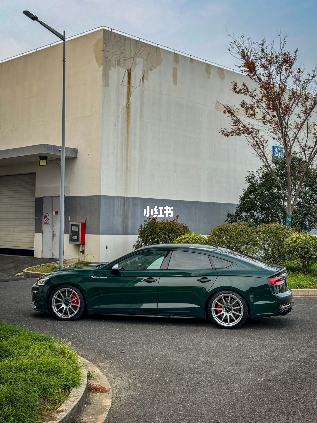 ELOV PPF-CP192 Scotland Green color PPF application on car - image 1