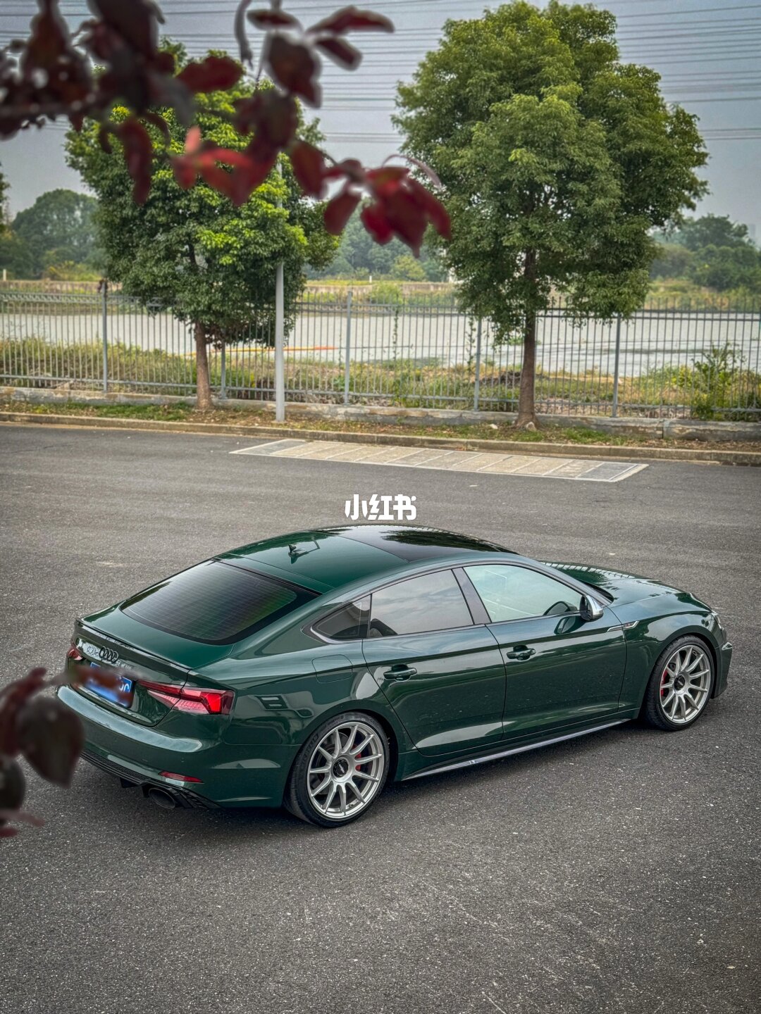 ELOV PPF-CP192 Scotland Green color PPF application on car - image 2