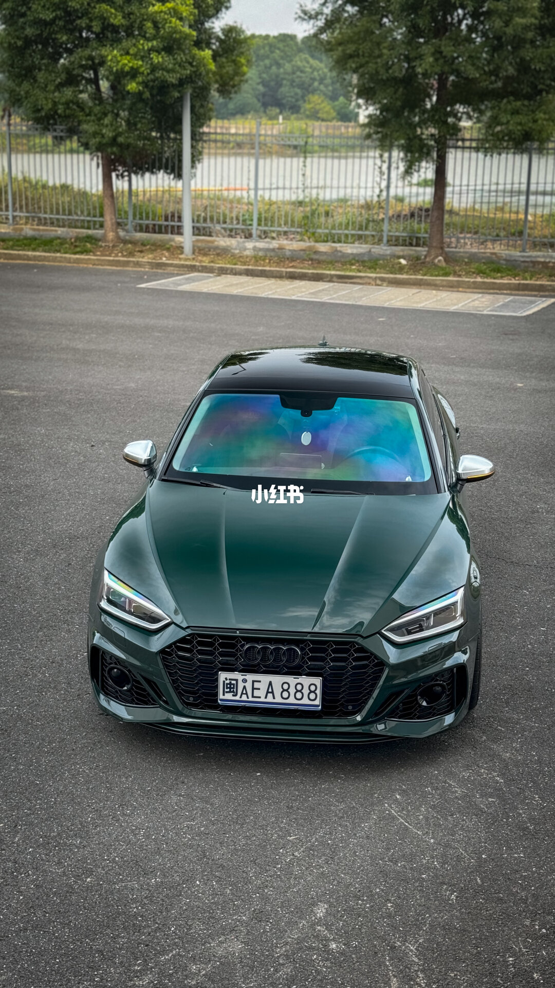 ELOV PPF-CP192 Scotland Green color PPF application on car - image 3