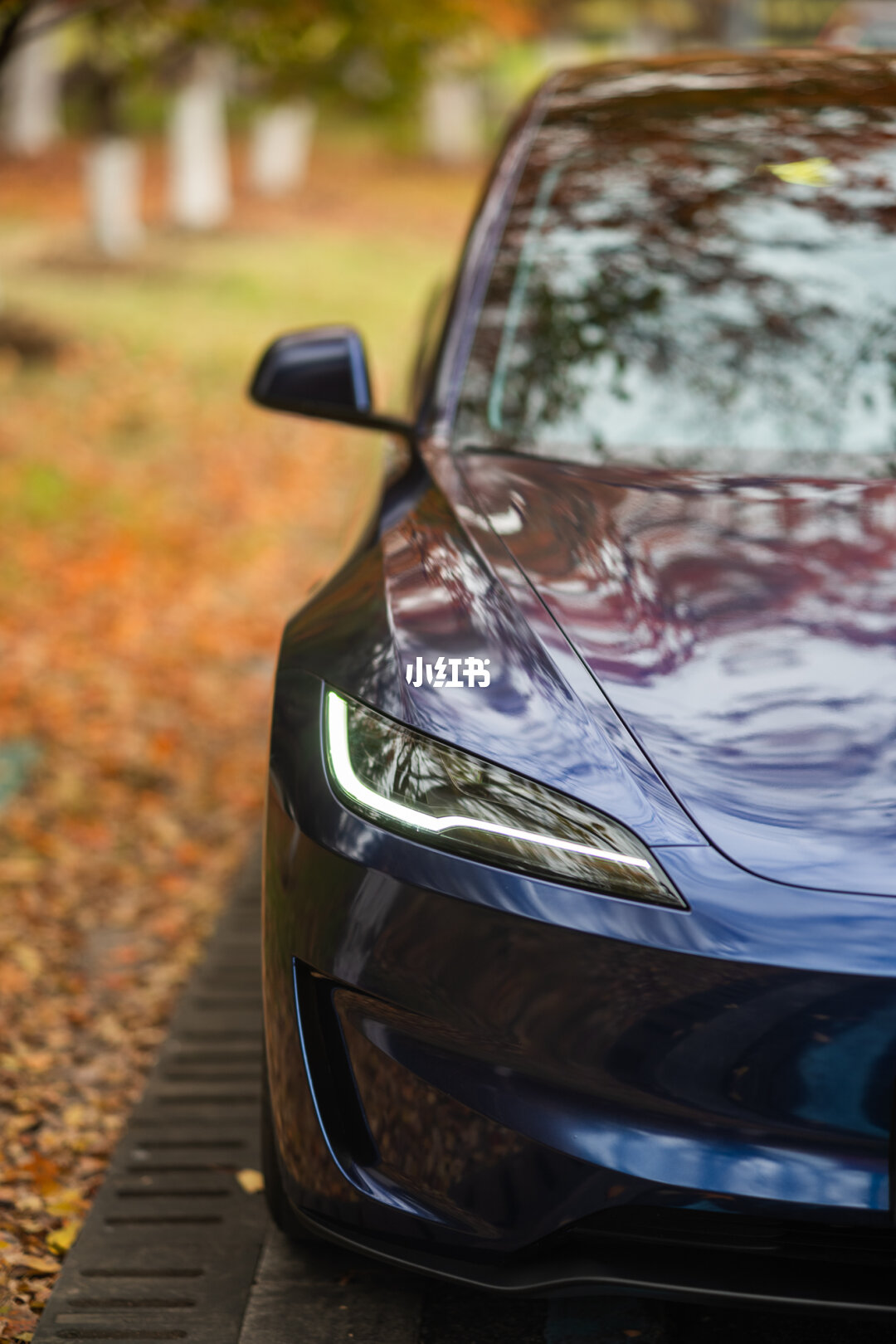 ELOV PPF-CP213 Diamond Blue color PPF application on car - image 2