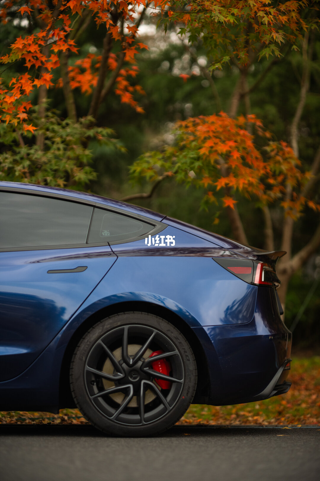 ELOV PPF-CP213 Diamond Blue color PPF application on car - image 3