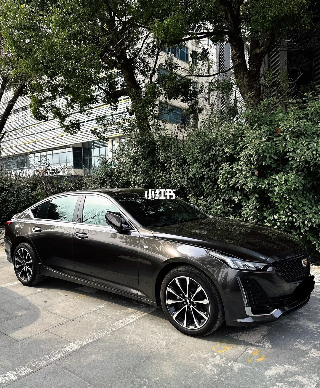 ELOV PPF-CP235 Liquid Metallic Tungsten Steel color PPF application on car - image 1
