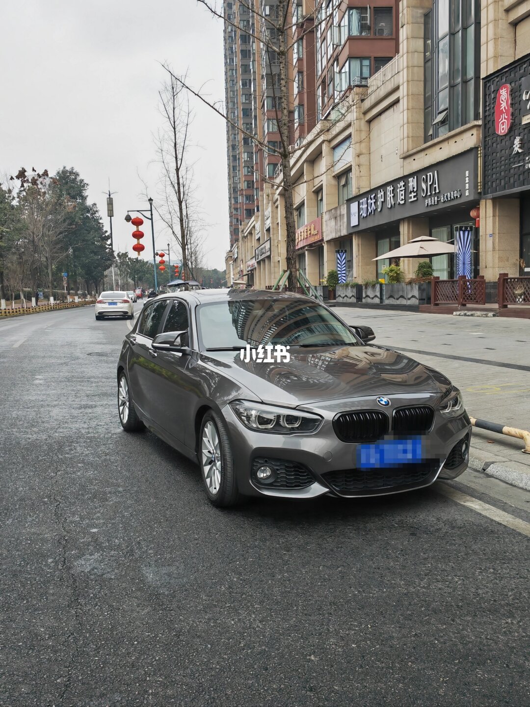 ELOV PPF-CP239 Liquid Metallic Gun Gray color PPF application on car - image 2