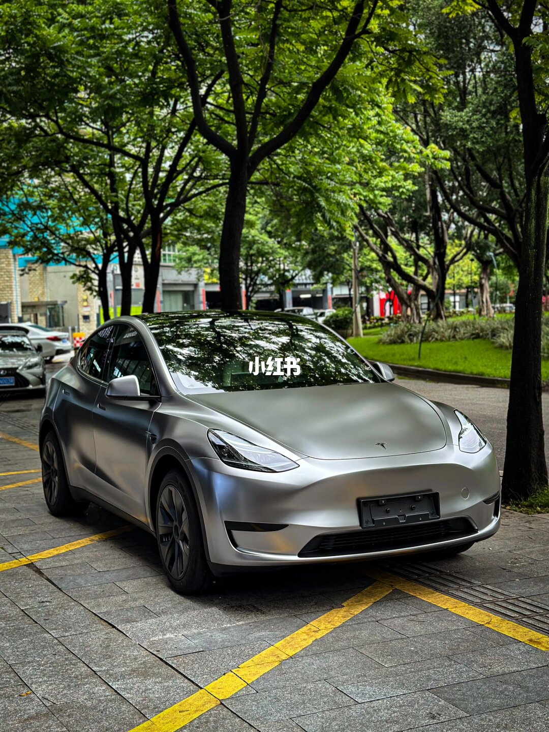 ELOV PPF-CP248 Matte Titanium Silver color PPF application on car - image 1