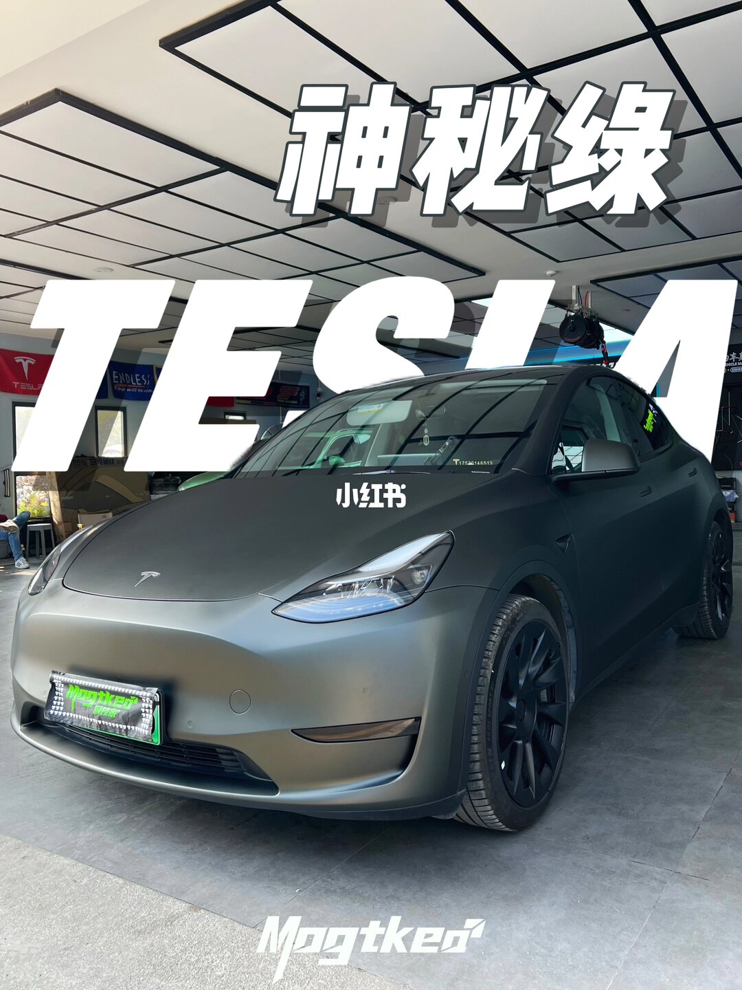 ELOV PPF-CP255 Matte Mysterious Green color PPF application on car - image 1